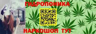 соль ск Гусев