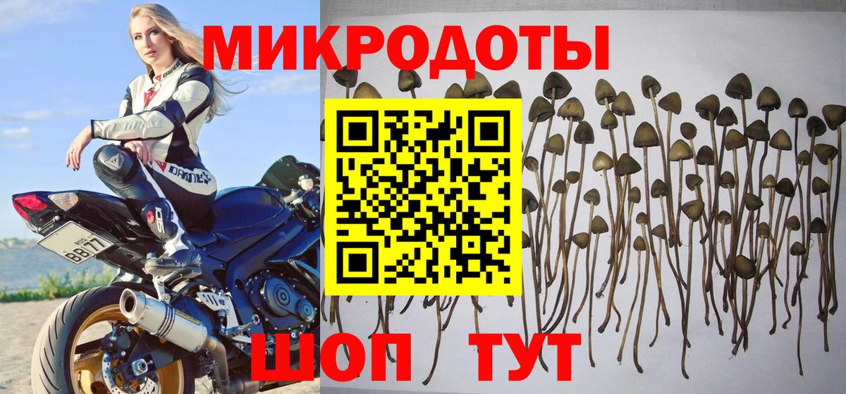 Галлюциногенные грибы ЛСД Вышний Волочёк