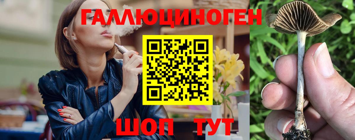 Вышний Волочёк  Псилоцибиновые грибы MAGIC MUSHROOMS  купить наркотик  Вход с VPN 